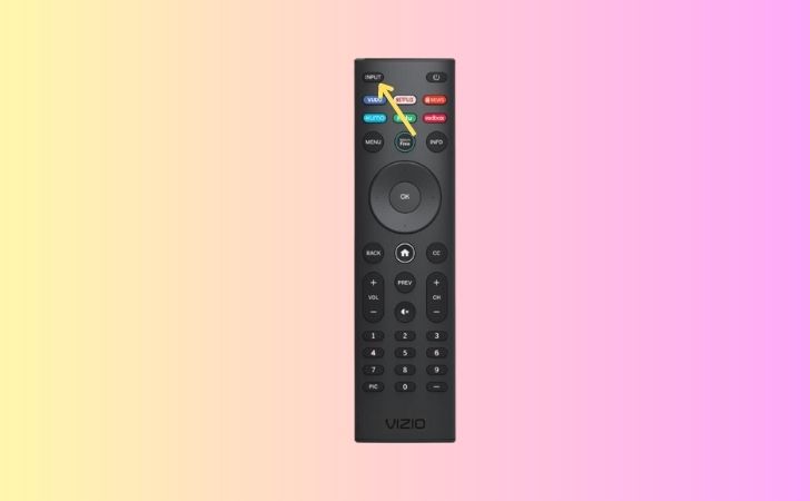 Vizio TV Remote Input Button